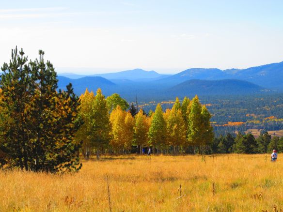 view of the San Francisco peaks in Flagstaff